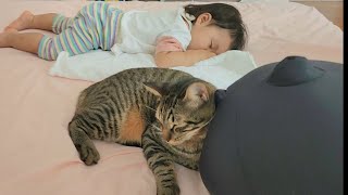 大好きな１歳児にくっついてるつもり...クッションだった猫の反応が尊すぎました。