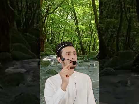 عزت و زندگی در ثروت نهفته نیست