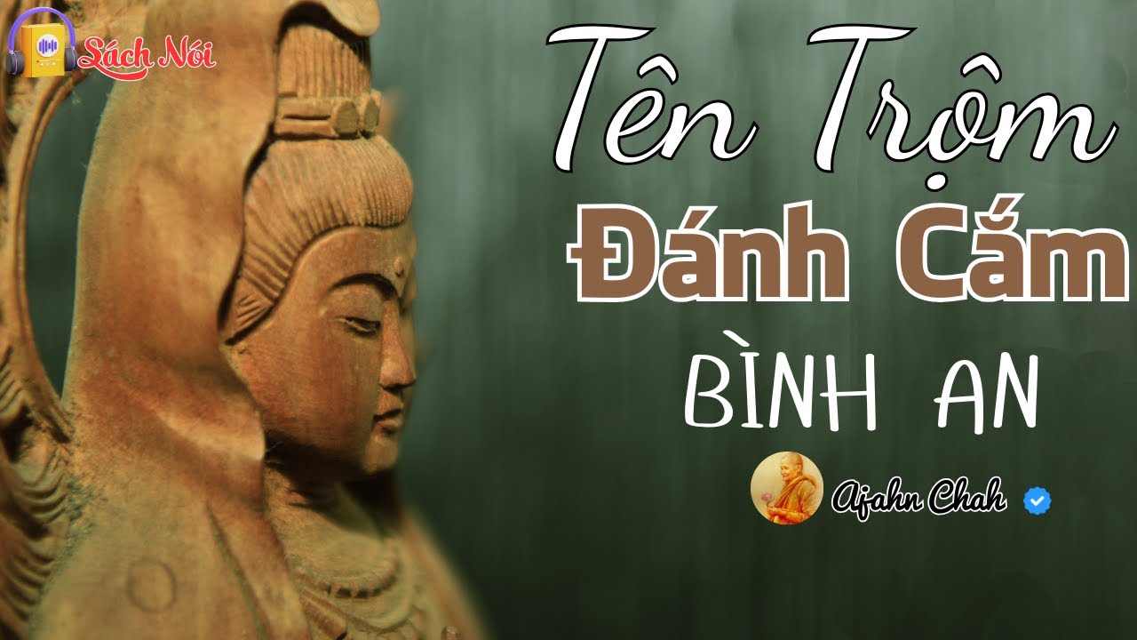 SÁCH NÓI | 5 Tên Trộm Đánh Cắp Bình An – Pháp Thoại Ajahn Chah Nên Nghe Ít Nhất 1 Lần | SIÊU THẤM