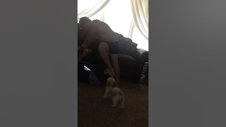 Brother and sister fighting over video about Cheetos and Dip Part 3