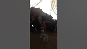 Thumbnail of Brother and sister fighting over video about Cheetos and Dip Part 3
