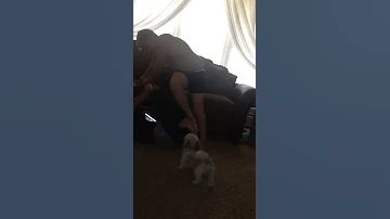 Brother And Sister Fighting Over Video About Cheetos And Dip Part 3 