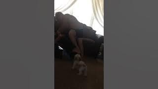 Brother and sister fighting over video about Cheetos and Dip Part 3