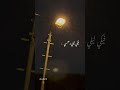 يا انسي ستوريات انستا 