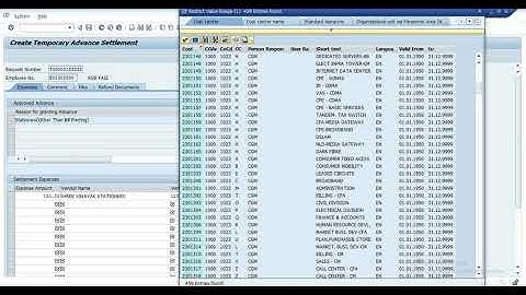 TEMPORARY ADVANCE SETTLEMENT IN SAP VIDEOS