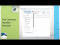 Excel Data Formatting: Apply Currency, Percentage, Accounting Number Formats (MOS Prep)