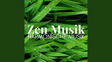 Harmonische Musik