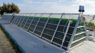 Pure Biomass 55,000L TriPAR Photobioreactor
