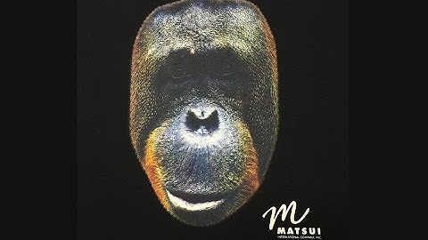 Matsui Color: Using Discharge as an Under-Base for 4 Color Process on Black Cotton