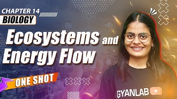 One Shot Lecture | Chp -14 | Ecosystem & Energy Flow | Gyanlab | Anjali Patel #oneshotlecture