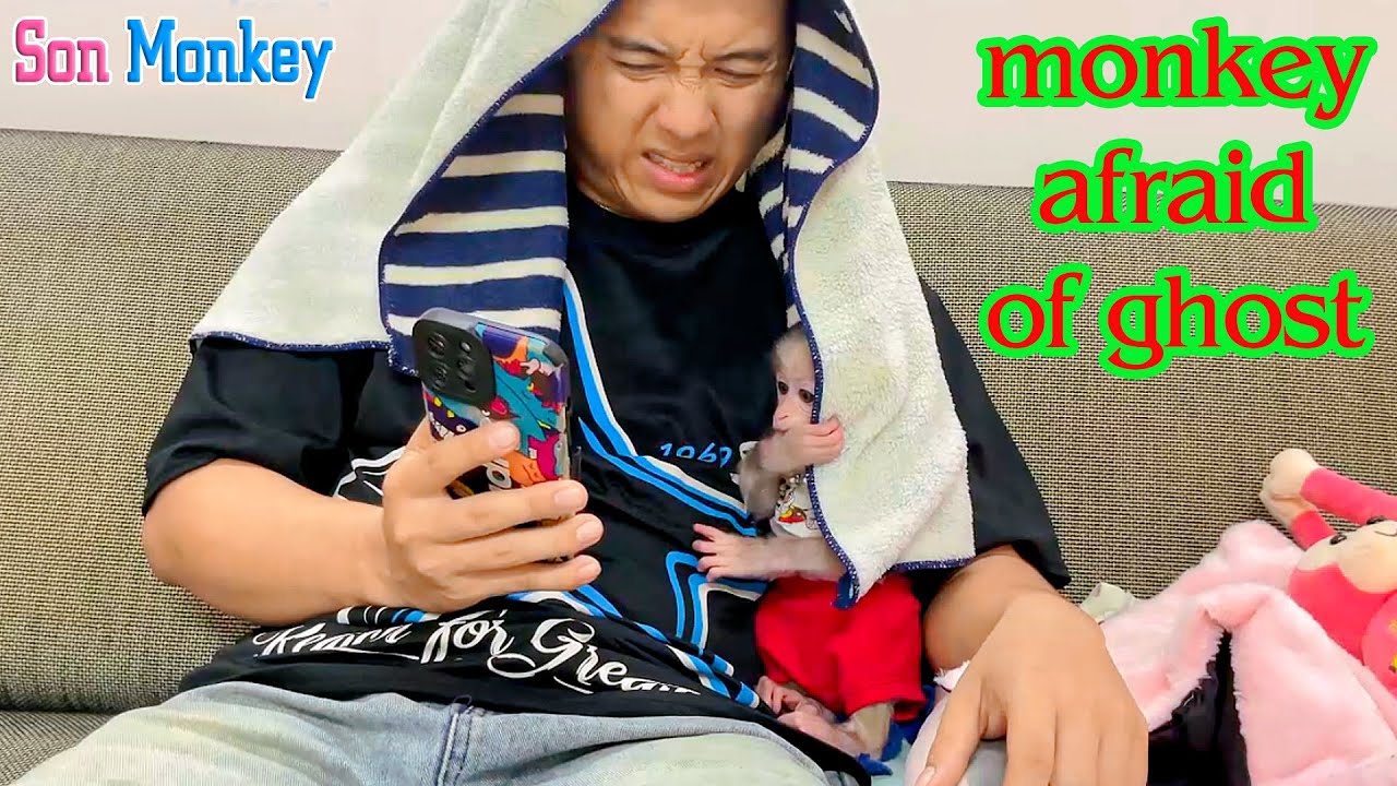 Baby monkeys funny reaction when watching horror movie for the first time with dad - Son Monkey