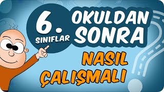 Okuldan Geldikten Sonra Evde Nasıl Çalışmalıyım? 🤔