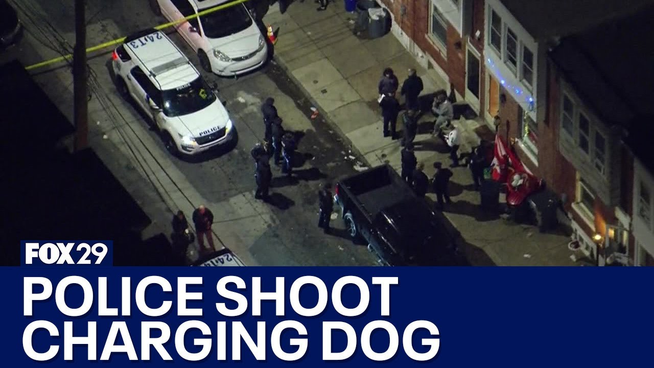 Philadelphia police shoot pit bull after responding to vicious attack; 2 people hurt