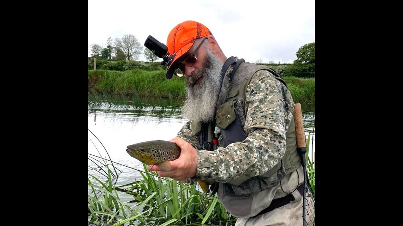 Flyfishing Ireland,dry fly for wild brown trout. 