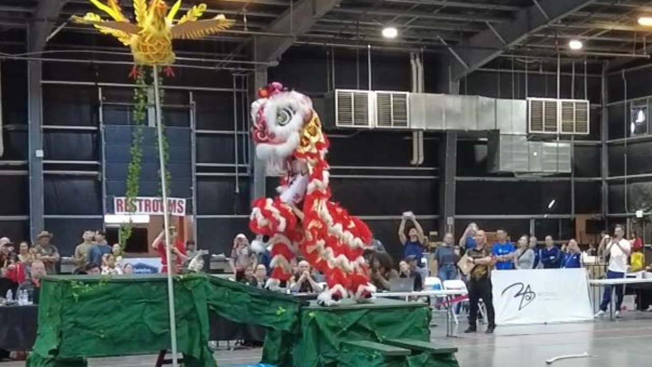 Qing Wei Lion Dance Team - Phoenix Lion Dance Championships 2025