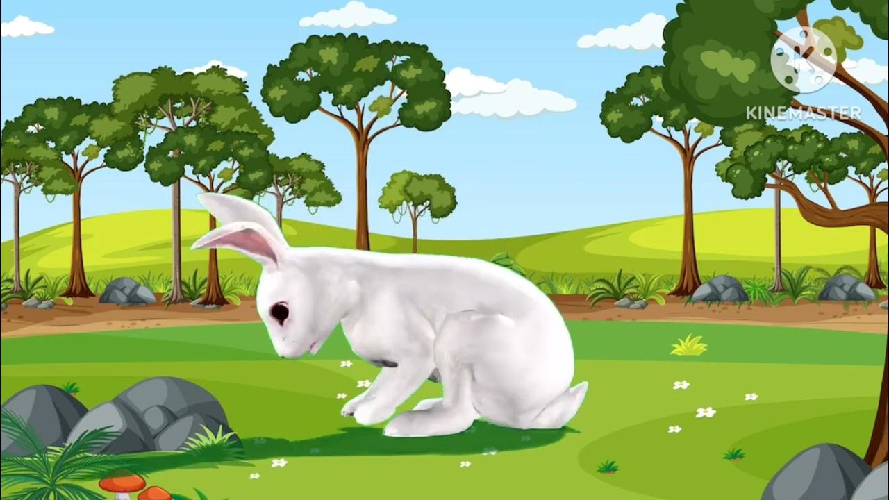 cartoon-rabbit-for-kids-rabbit-sound-rabbit-for-children-the