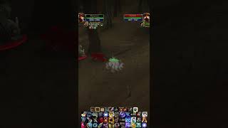 Shaman Follows Bm Hunter - Wow Clic Sod