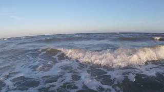 Beaching Fishing 7-23-2016