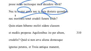 Aeneid 4.305-313 translation