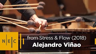 Alejandro Viñao: excerpt from Stress & Flow (2018) | NEC Percussion Ensemble
