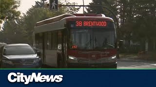 Study highlights senior accessibility gaps in Calgary