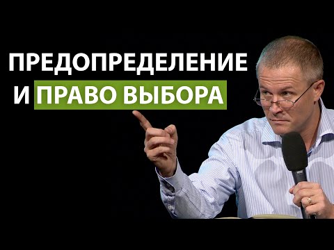 Александр Шевченко. Предопределение и право выбора.
