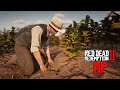 PLANTANDO ARROZ - O dono do restaurante encomendou arroz - RED DEAD RP - Servidor Nevada