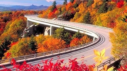 Phim 4K Mùa Thu lá vàng, Nhạc nhẹ không lời thư giãn cho giấc ngủ ngon