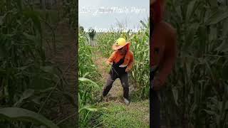 Good Morning Everyone Welcome My Youtube Channel