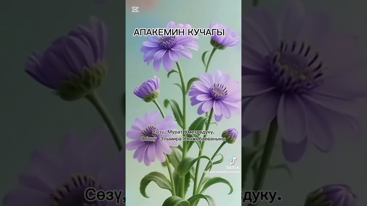 Март майрамыңыздар кут болсун апалар🥰🥰
