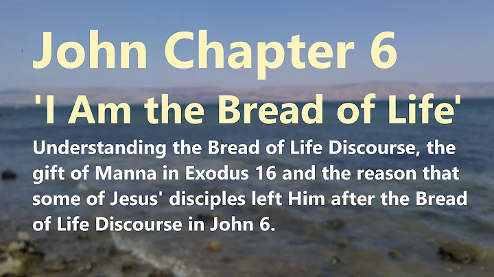 John 6: The Gospel of John, Catholic Bible Study, Fr. Tim Peters