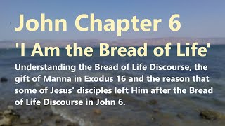 John 6: The Gospel of John, Catholic Bible Study, Fr. Tim Peters