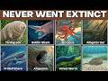 Scientists Can't Explain How These 8 Creatures Survived MASS EXTINCTIONS