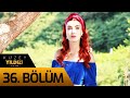 Kuzey Yıldızı İlk Aşk 36. Bölüm