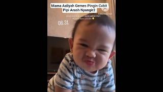 Mama Aaliyah Gemes Pingin Cvbit Pipi Arash Nyungir2