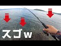 【離島生活】ヒラメが釣れたポイントでまたしても伝説が生まれました…