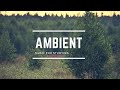 Deep Focus Ambient Study 24/7, Deep Focus Ambient Study Music Best For You
