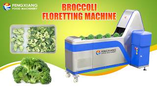 Broccoli Floretting Machine Cauliflower Separating Cutting Machine #cuttingmachines #broccoli