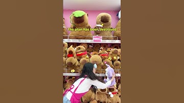 The plan has been destroyed #bemorishow #shorts #capybara #teddybear