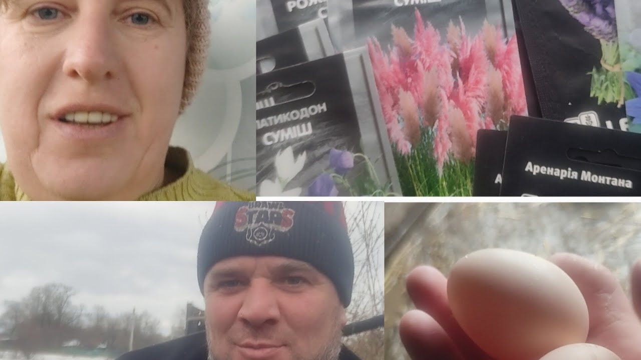 Як Юрка мене вітає сокіркою😂, як себе вітаю я насінням 