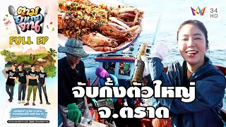 Catching Huge Mantis Shrimp with Foldable Traps, Khlong Yai District, Trat
