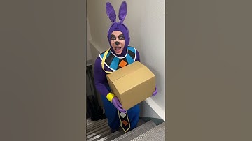 Hakai1gou funny video 😂😂😂 | HAKAI Best TikTok 2025 #shorts