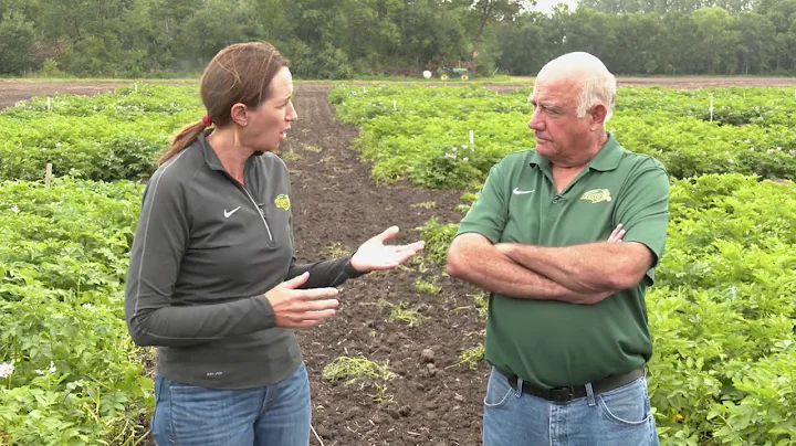 Gary Secor & Julie Pasche: Above Ground Potato Dis...