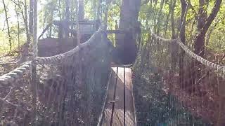 Grace's Gap Hike, Red Mountain Park, Birmingham, Alabama - November 2025