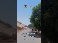 ياسلام الله علي دار الصعيدي