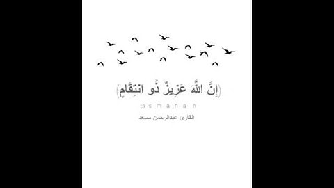 ماتيّسر من سورة إبراهِيم, للقارِئ الشِيخ عبدالرحمٰن مسعد💙💙.