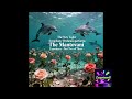 The New Light Symphony Orchestra perform The Mantovani Experience - Two of Three -