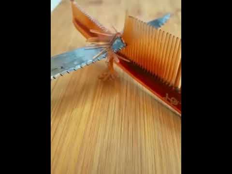 أين دفن سعد بن أبي وقاص