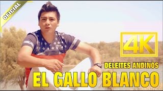 Deleites Andinos - El Gallo Blanco  |  Vídeo Oficial chords