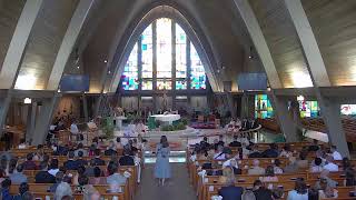 St. George Catholic Church  Wedding  Mass of Alex Valerio and Jack Kloecker  June 20th, 2026